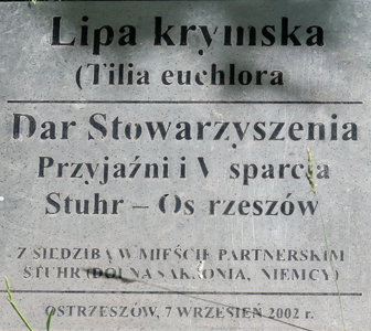 Besichtigungen (36).jpg